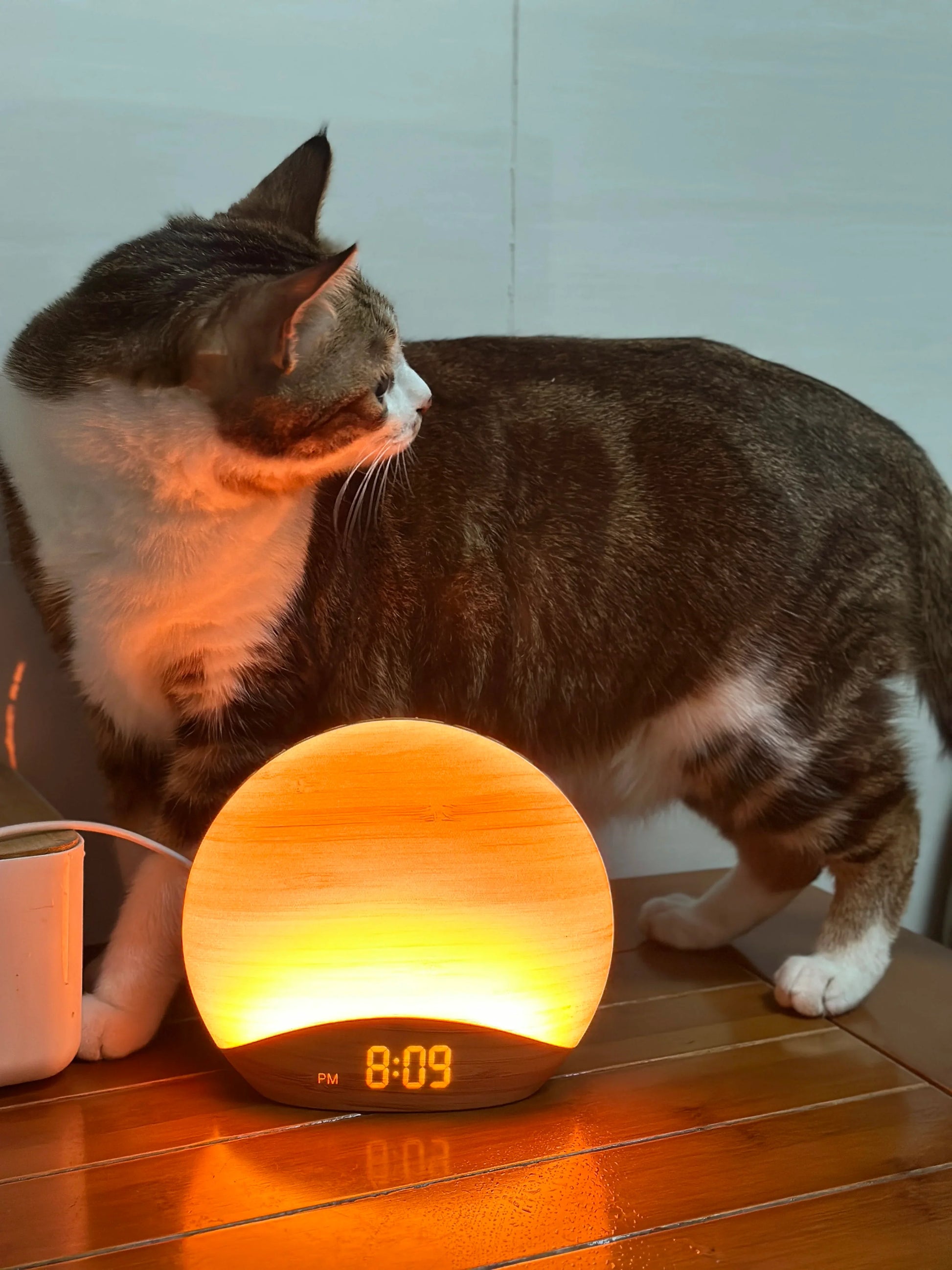 Réveil rond en bambou avec affichage numérique intégré -  - reveil-lumineux-et-son-de-la-nature - ["lumineux","Radio R\u00e9veil Lumineux"]